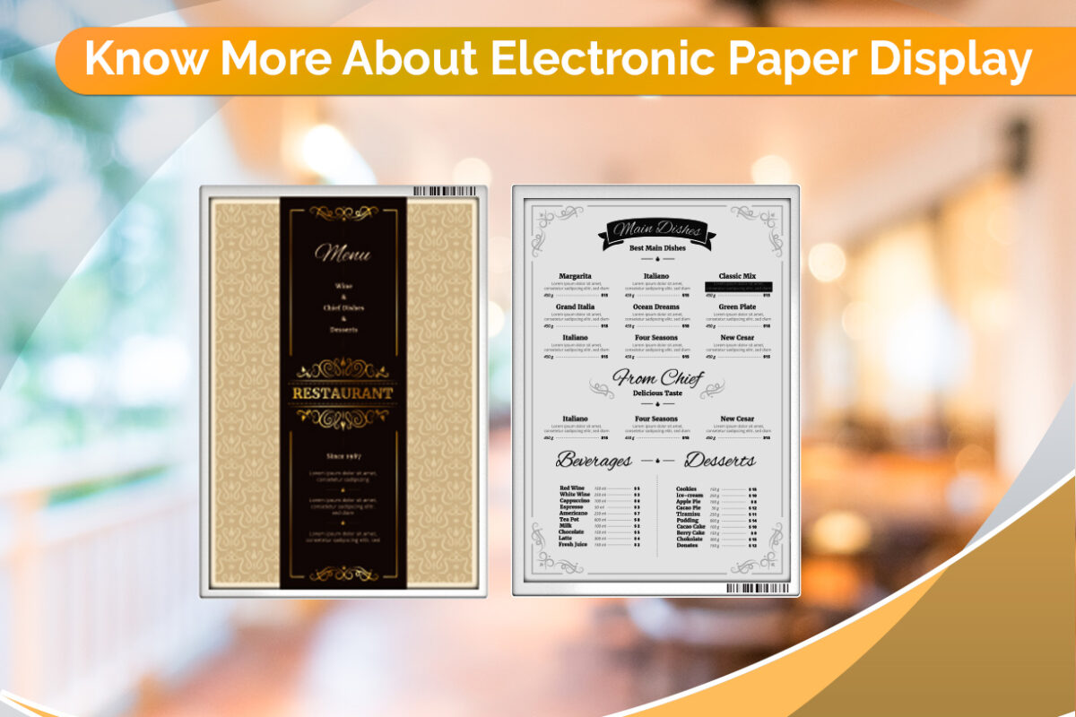 Electronic Paper Display