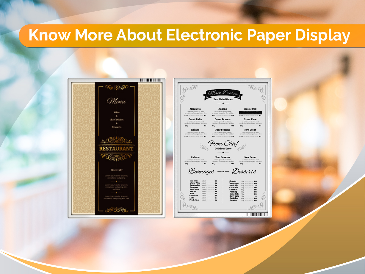 Electronic Paper Display